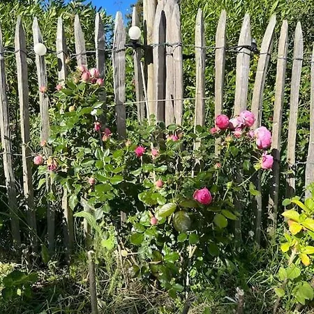 펜션 Normand - Charme Et Authenticite *