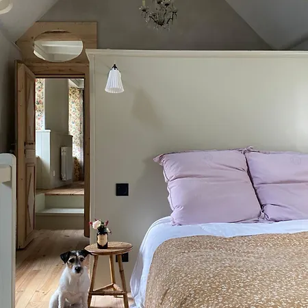 Normand - Charme Et Authenticite 펜션 Omonville-la-Rogue